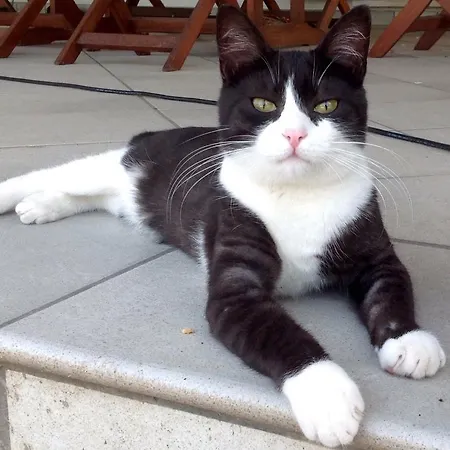 Ca' La Pergola 팜스테이 루가냐노