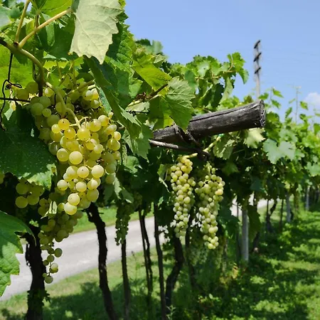 팜스테이 Ca' La Pergola 루가냐노