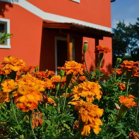 Farm stay Ca' La Pergola Lugagnano