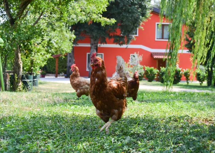 בית חווה Ca' La Pergola לוגניאנו